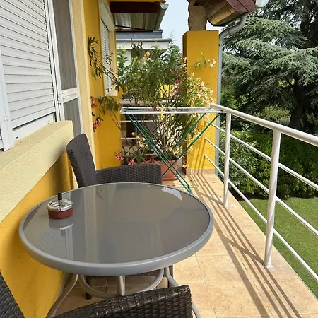 Alex Homestay *